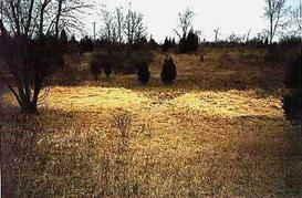 Island Lake State Rec. Area, MI formation